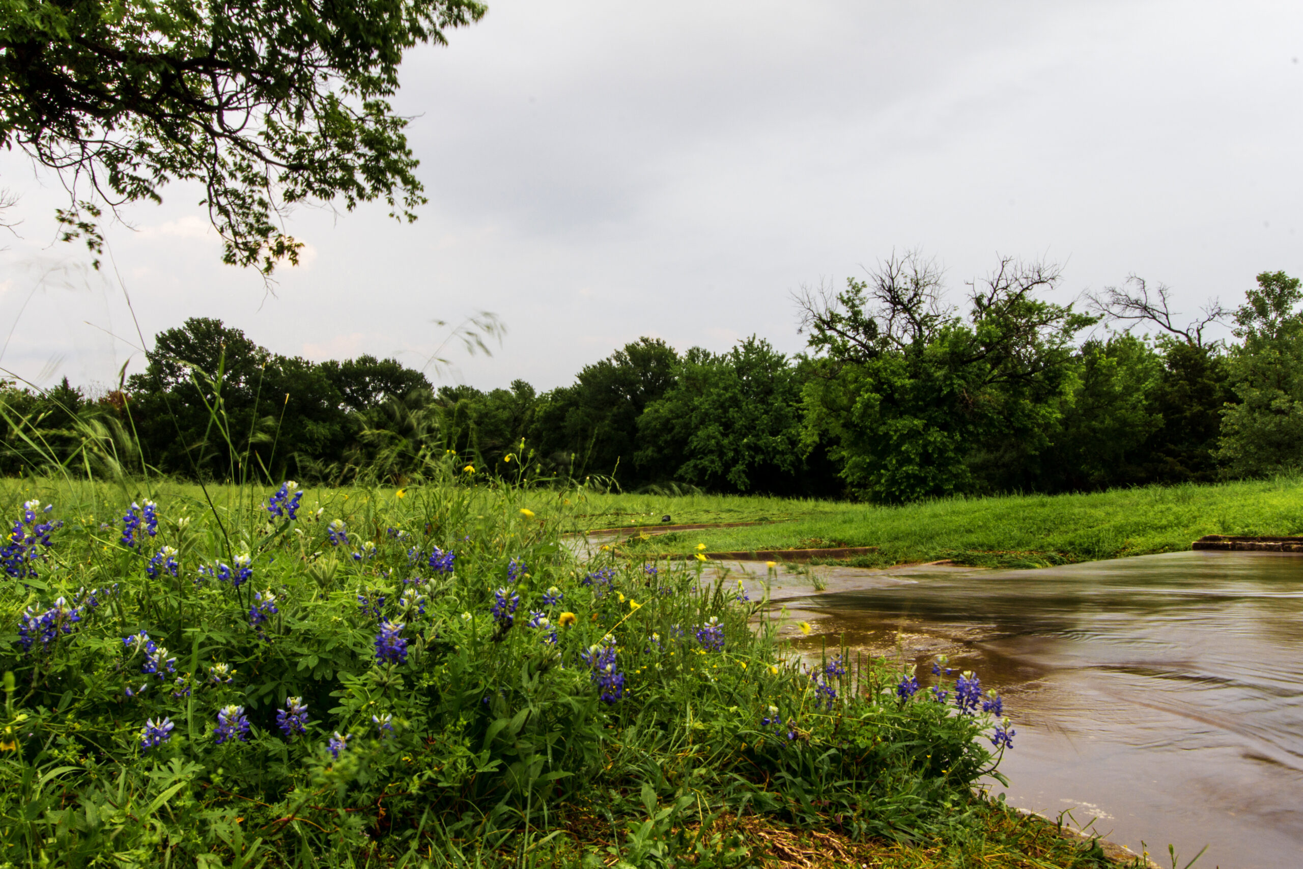 Turf services in Hockley, TX